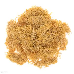 Mech naturalny dpCraft Ochra, 30g